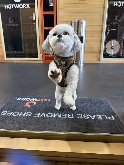 HOTWORX - Sycamore, IL - Dekalb Ave Picture 4