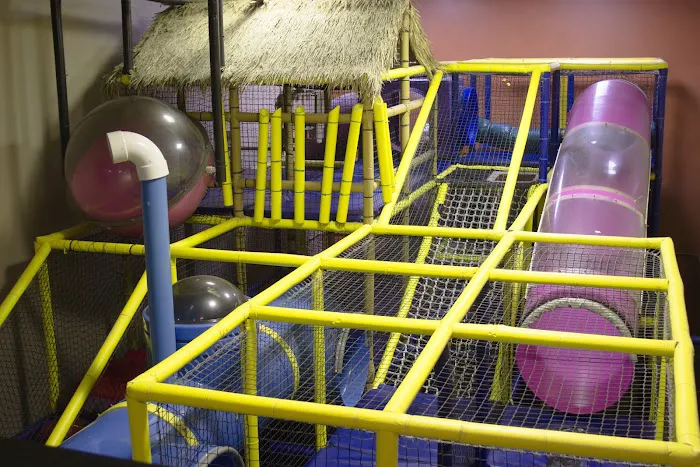 Ultimate Fitness Picture 6