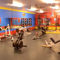 Ultimate Fitness ico