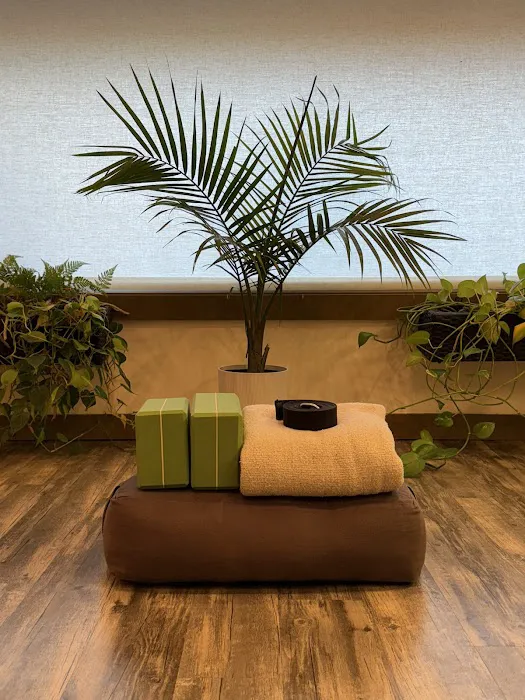 Roots Movement Studio Picture 4