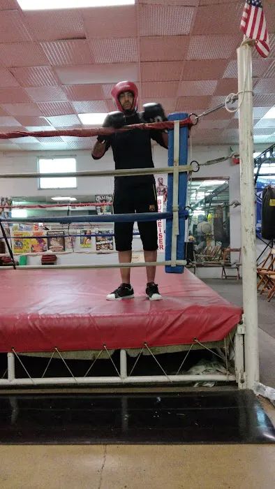 Knuckles Gym Picture 2