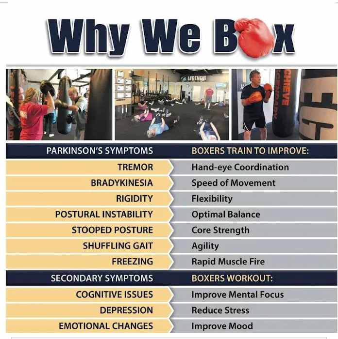 Rock Steady Boxing-MetroSTL Picture 4