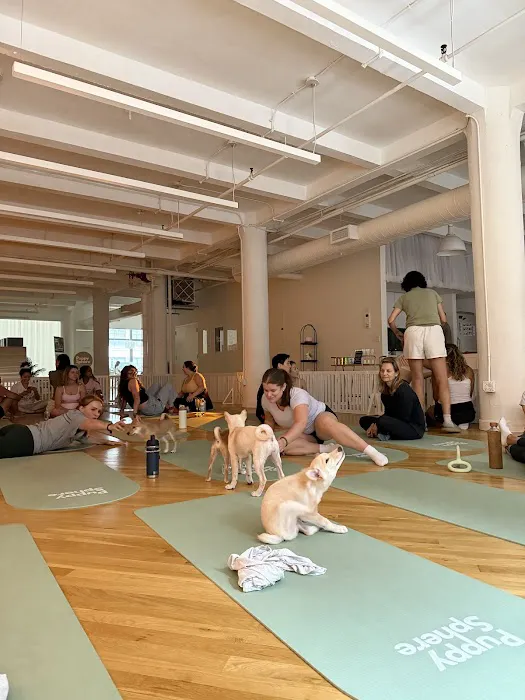 Puppy Sphere | Puppy Yoga (Flatiron) Picture 4