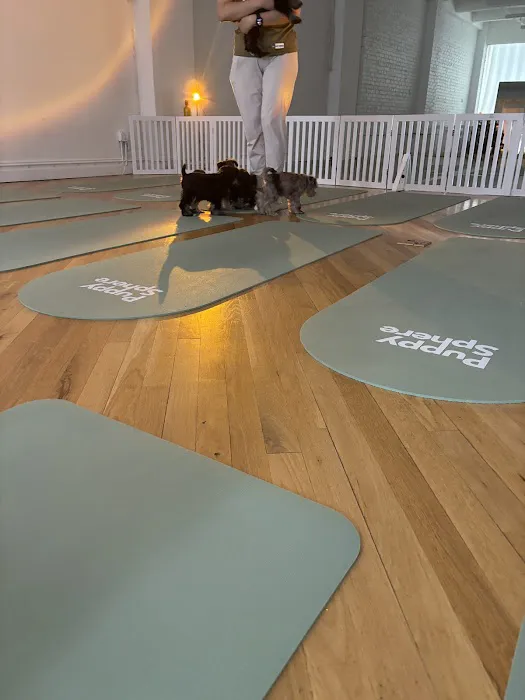 Puppy Sphere | Puppy Yoga (Flatiron) Picture 6