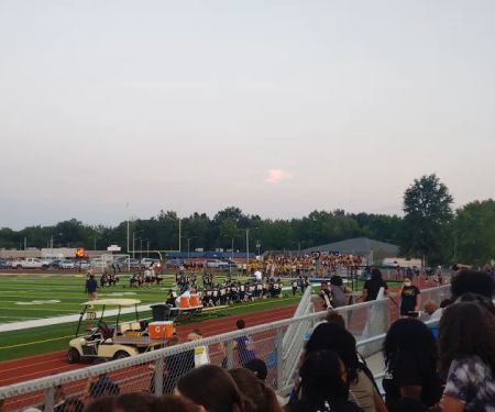 OTHS Panther Dome