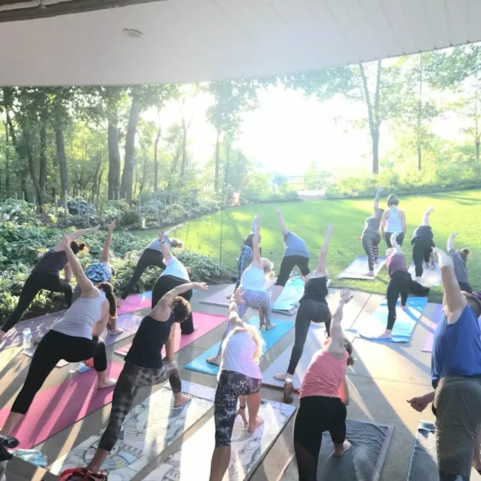 Moonbird Yoga Picture 2