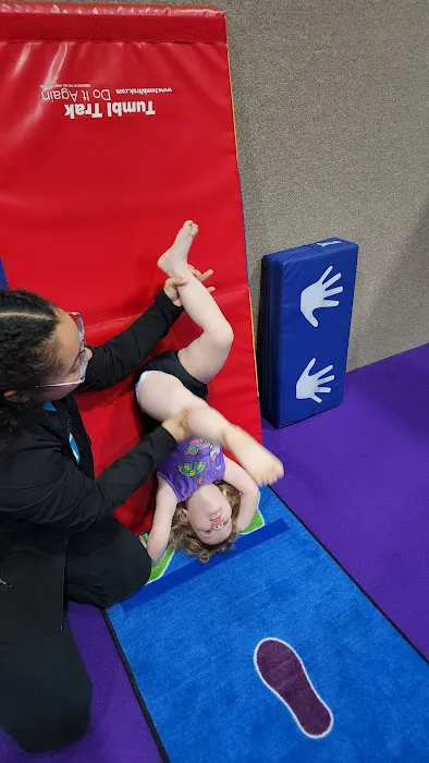 World Class Gymnastics Picture 7