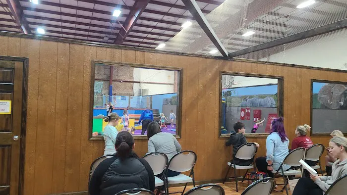 World Class Gymnastics Picture 4