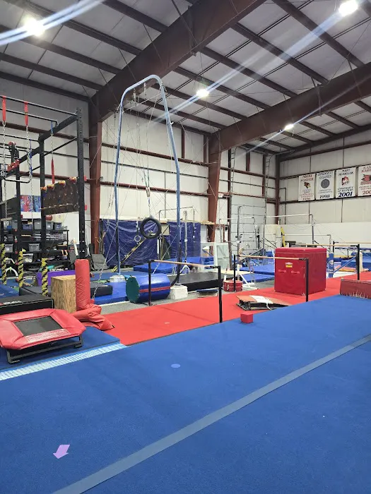 World Class Gymnastics Picture 1