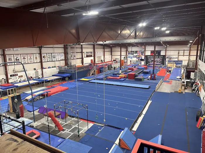 World Class Gymnastics Picture 3
