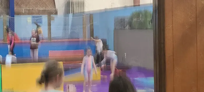 World Class Gymnastics Picture 6