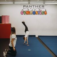 Panther Gym & Fitness/Tanning ico