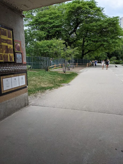 Outdoor Gym Station Picture 4