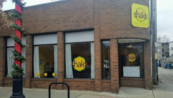 Chi-Town Shakti Picture 4