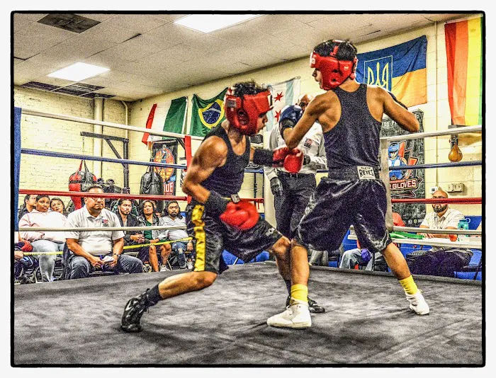 Northside Boxing And Fitness Evanston Picture 2