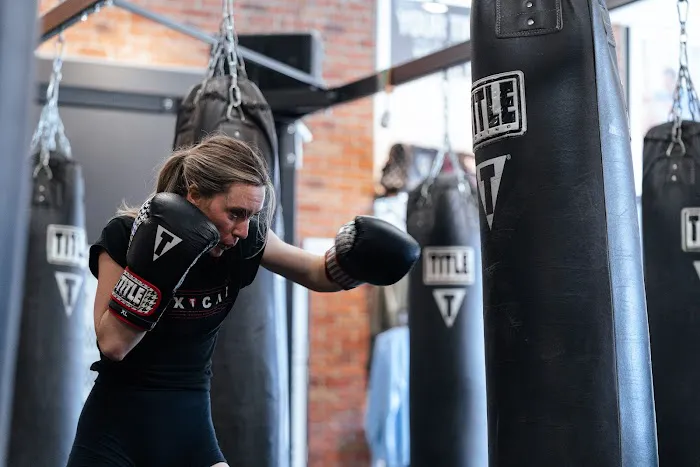 TITLE Boxing Club Evanston Picture 3