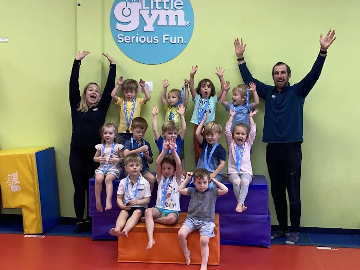 The Little Gym of Glenview Picture 1