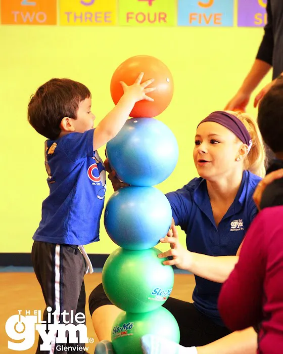 The Little Gym of Glenview Picture 5