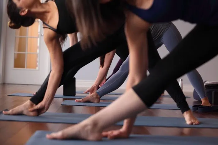 Evolution Yoga Picture 7