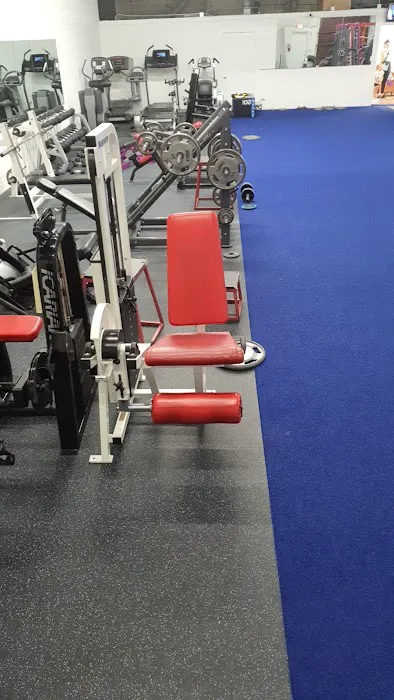 365 Approach To Sport by Agata Smetaniuk Picture 2