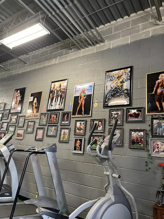 MA Fitness Picture 4