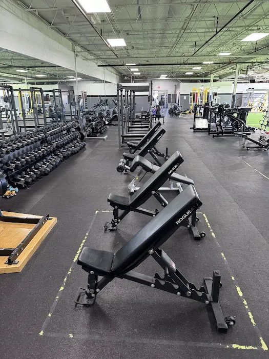 Performance Training Systems - Northbrook Picture 4