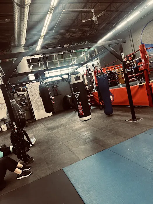 FLO Fitness and Martial Arts Picture 9