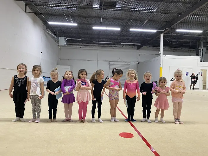 VVL Rhythmic Academy Picture 6