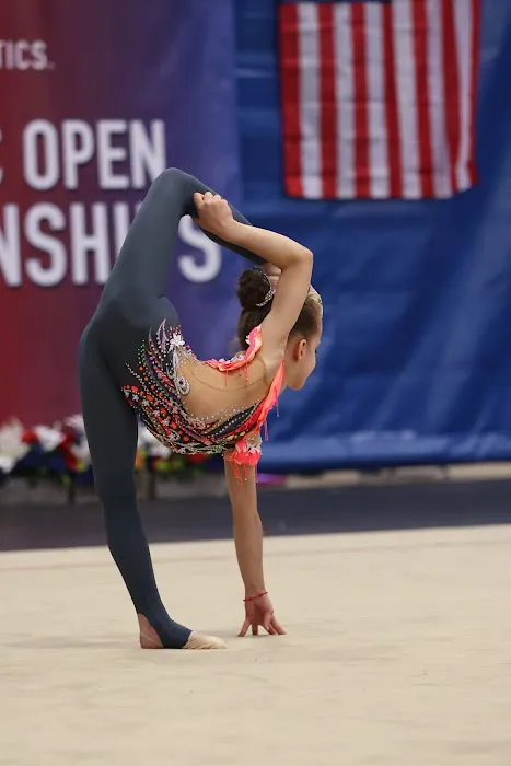 VVL Rhythmic Academy Picture 8