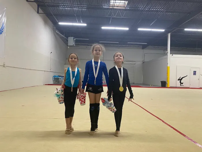 VVL Rhythmic Academy Picture 5