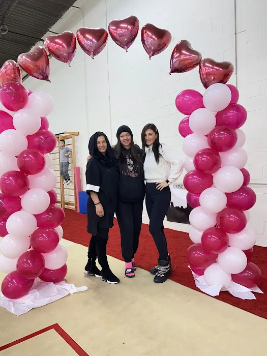 VVL Rhythmic Academy Picture 1