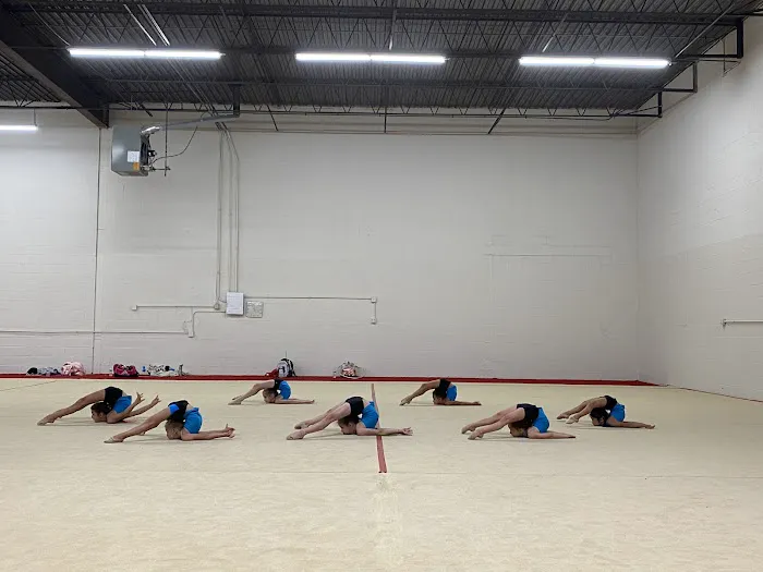 VVL Rhythmic Academy Picture 2