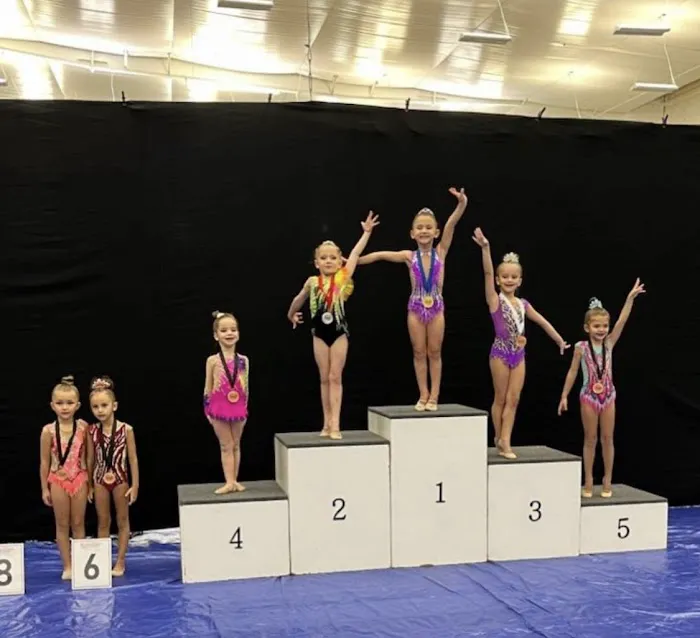 VVL Rhythmic Academy Picture 4