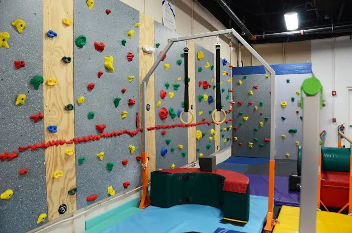 Gymkhana Gymnastics Picture 6