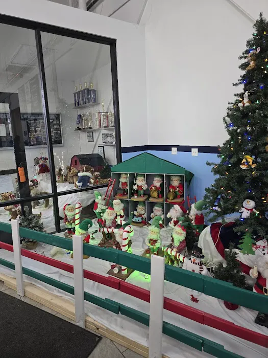 Gymkhana Gymnastics Picture 1