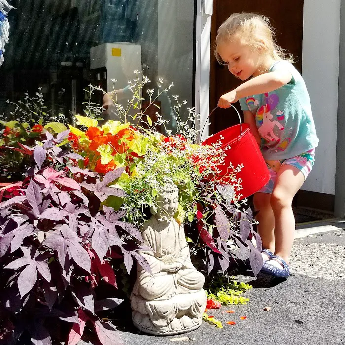 Bloom Yoga Center Picture 5