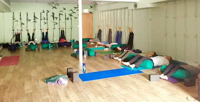 Bloom Yoga Center Picture 2