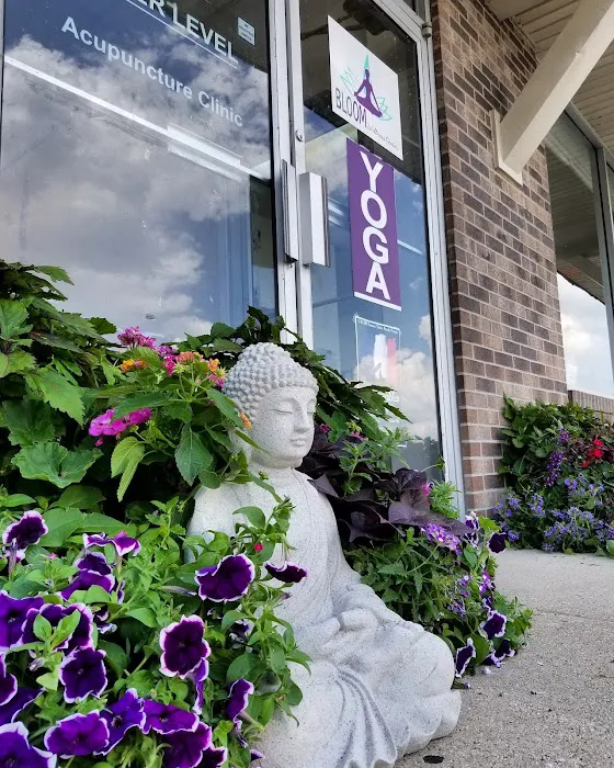 Bloom Yoga Center Picture 6