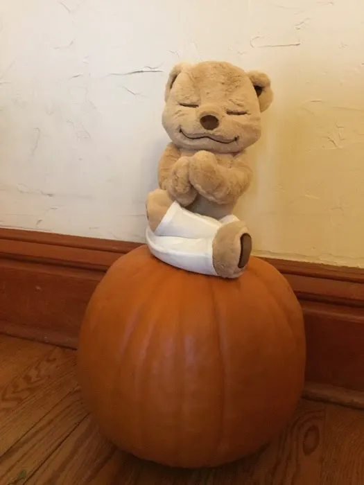 Little Meadow Family Yoga Picture 1