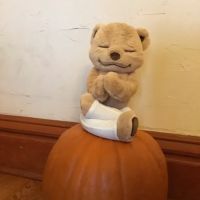 Little Meadow Family Yoga ico