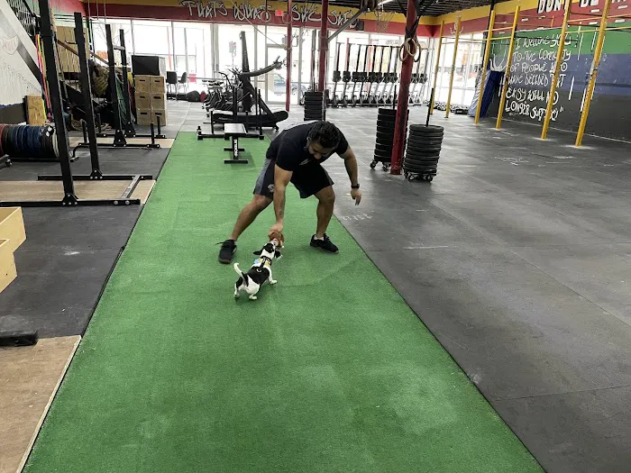 Beloit Barbell Coach Scott Thiele Picture 2