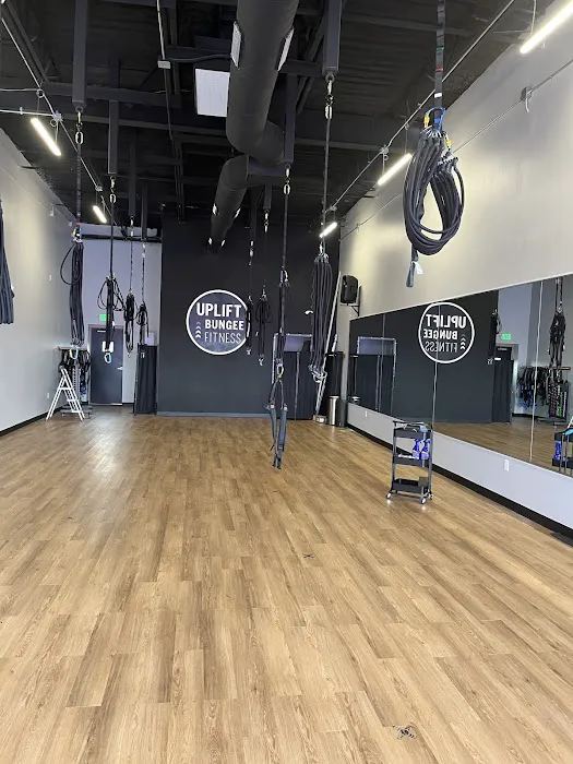 Uplift Bungee Fitness Picture 1