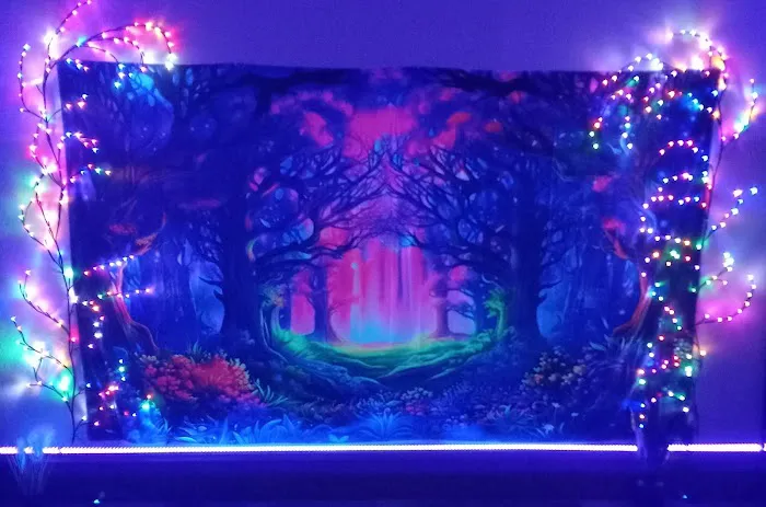 Higher Ground Wellness Co-op Picture 6