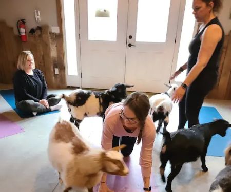 Galena Goat Yoga