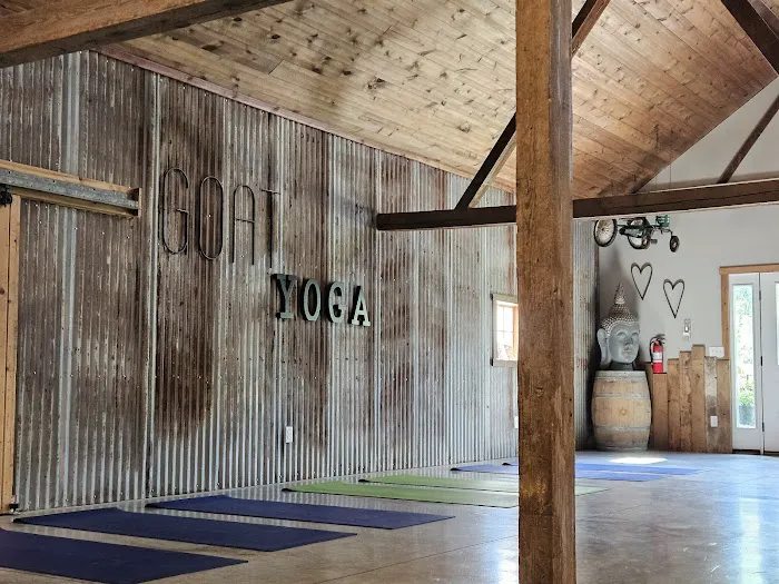 Galena Goat Yoga Picture 5