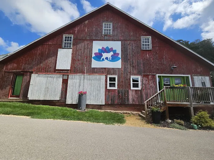 Galena Goat Yoga Picture 3