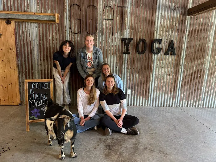 Galena Goat Yoga Picture 6