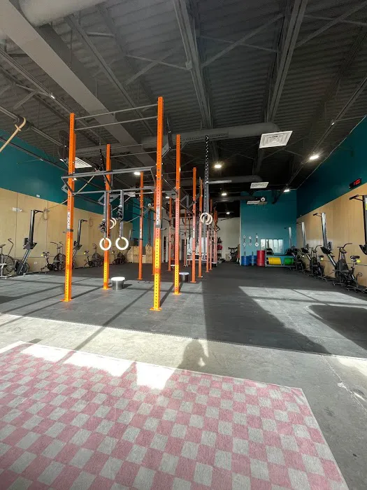 Kingfisher CrossFit Picture 4