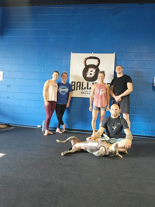 Ballista Strength and Movement Picture 3