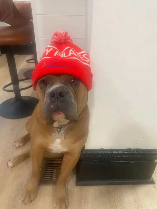 City Pilates Picture 1